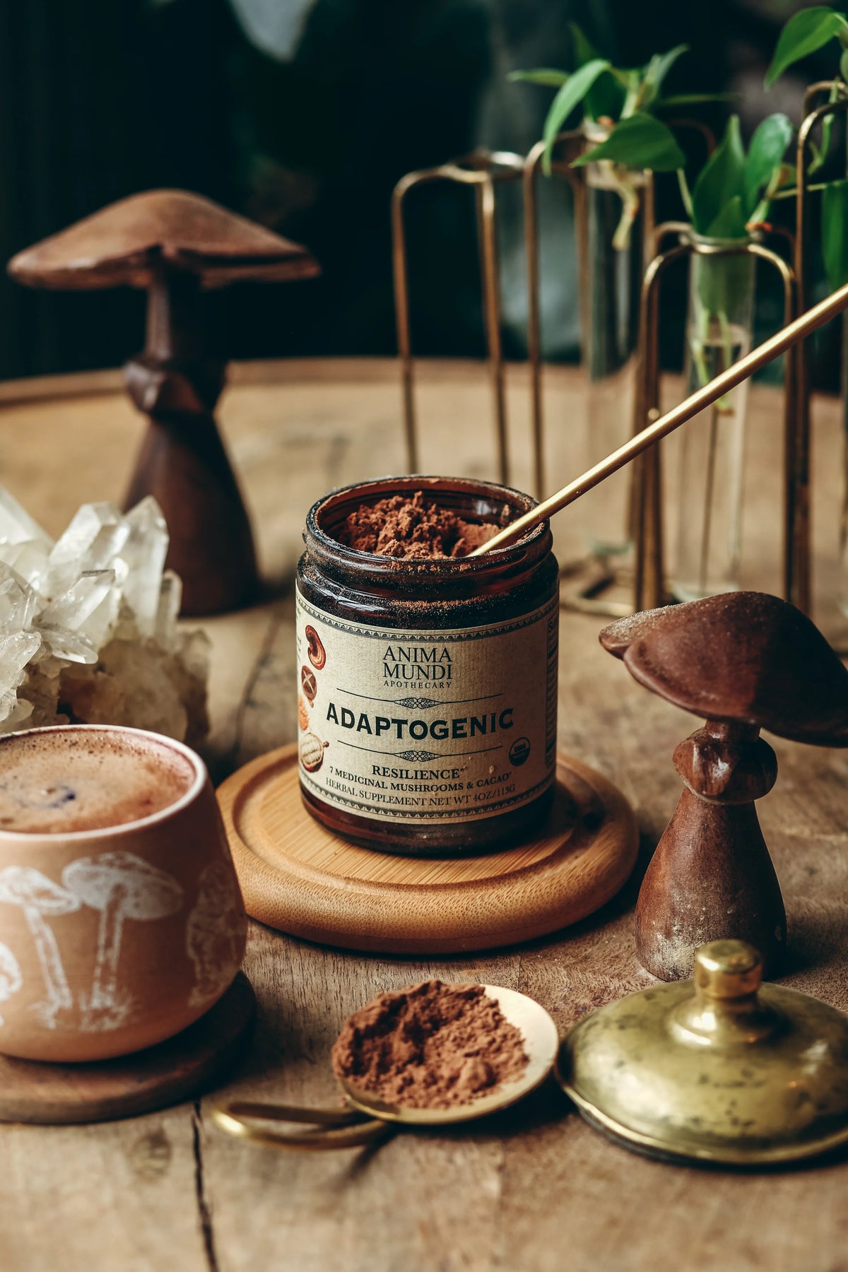 Adaptogenic Powder | 7 Medicinal Mushrooms + Cacao