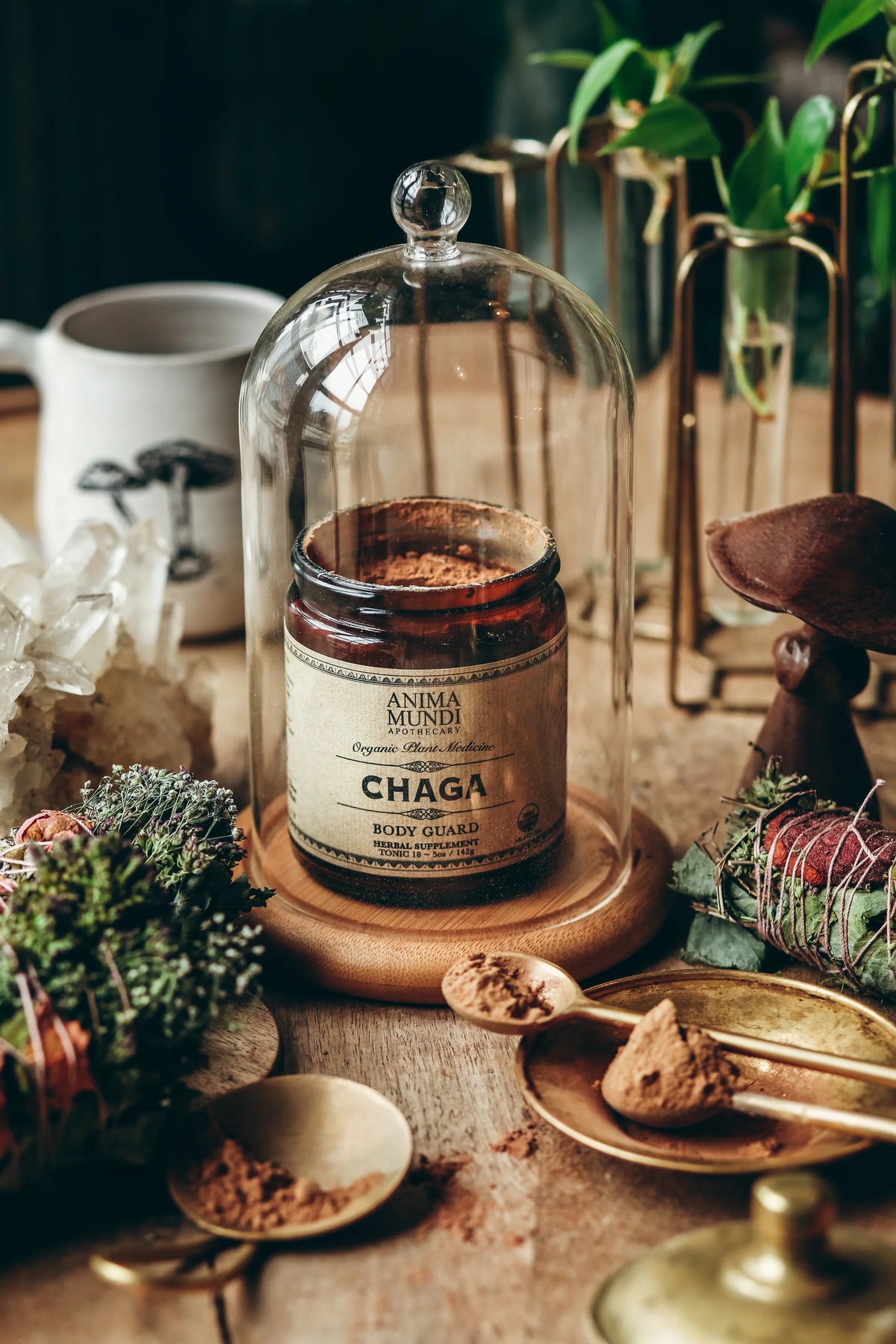 Chaga | Body Guard