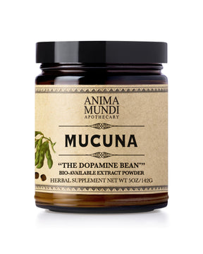 Mucuna | "The Dopamine Bean"