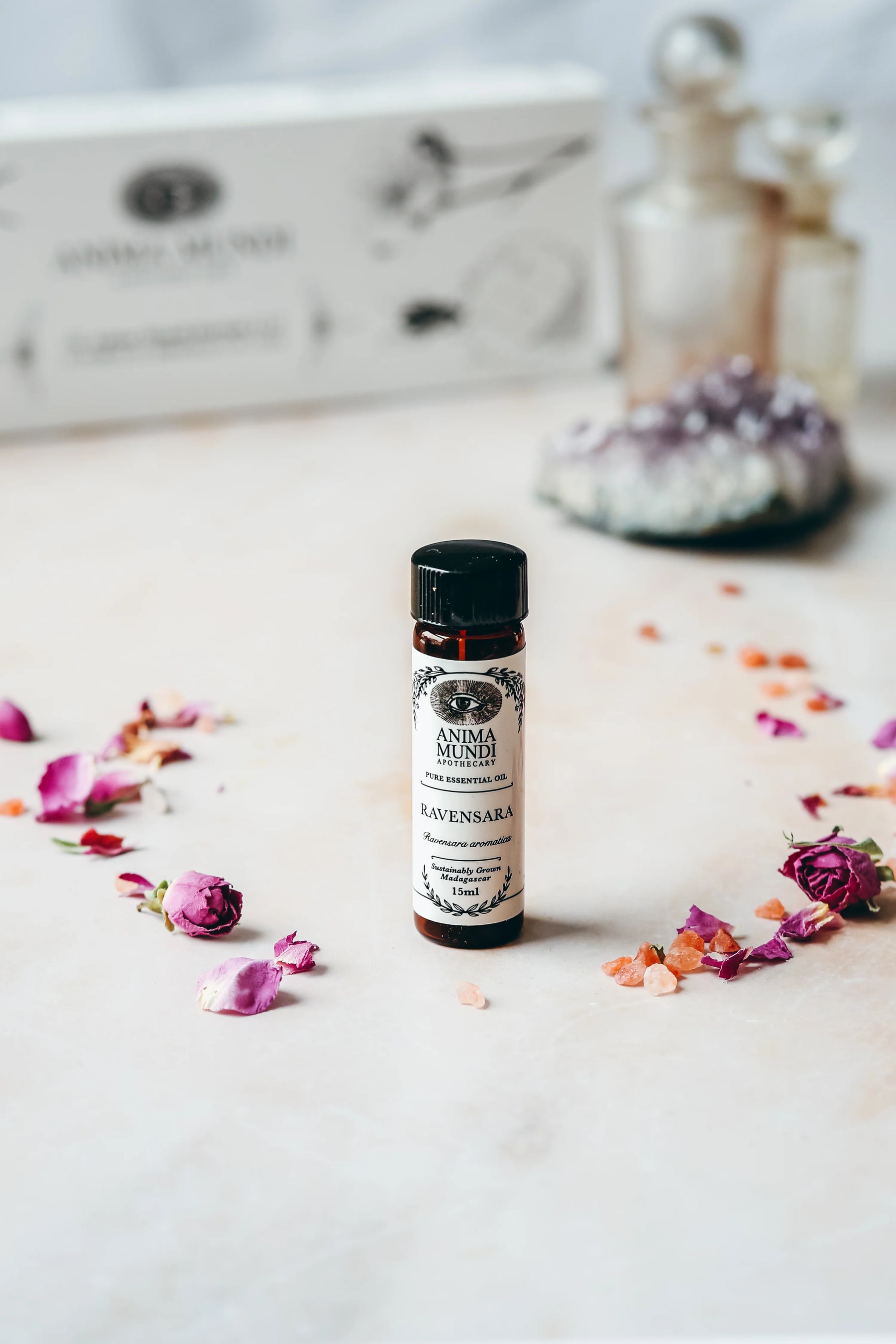 Ravensara Essential Oil | Sustainably Cultivated