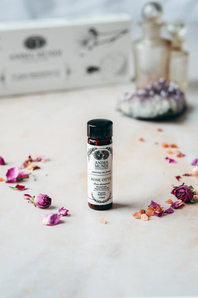 Rose Otto Anointing Oil | Organic