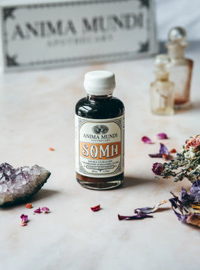 Soma Elixir | 7 Mushrooms + Schisandra